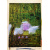 54_-_golondrina_en_la_punta_de_los_pies_pintura_sobre_papel_superalfa_76_x_56_cmcolgado_gad_colgado_b_57